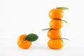 Mandarin orange, Citrus reticulata Royalty Free Stock Photo