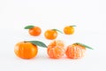 Mandarin orange, Citrus reticulata Royalty Free Stock Photo