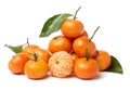 The mandarin orange Citrus reticulata, also known as the mandarin or mandarine Royalty Free Stock Photo