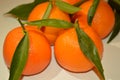 Mandarin orange