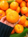 Mandarin orange in hand.