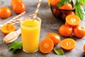 Mandarin orange juice. Refreshing summer drink. Fruit refreshment beverage Royalty Free Stock Photo