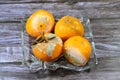 Mandarin orange with mold, mould is one of the structures that certain fungi can form, formation of spores containing fungal