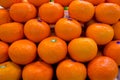 Mandarin orange on sales