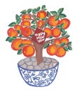 Mandarin orange tree pot illustration Royalty Free Stock Photo