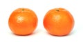 Mandarin Orange