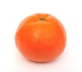 Mandarin Orange