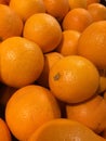 Mandarin oranges backgroud in the fruit market