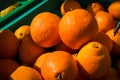 Mandarin oranges at the farmers market Royalty Free Stock Photo