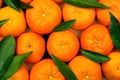 Mandarin oranges