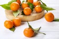 Mandarin Oranges on rustic white wooden background