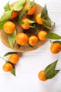 Mandarin Oranges on rustic white wooden background