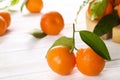 Mandarin Oranges on rustic white wooden background