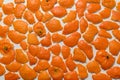 Mandarin peels on white background.