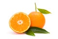 Mandarin (satsuma or tangerine) Royalty Free Stock Photo
