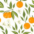 Mandarin seamless pattern. Exotic tropical orange citrus fruit, juicy tangerine with green leaves, vector cartoon minimalistic