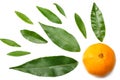 mandarin with slices and green leaf isolated on white background top view Royalty Free Stock Photo