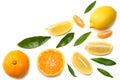 Mandarin with slices, lemon and green leaf isolated on white background top view Royalty Free Stock Photo