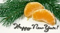 Happy New Year! Appetizing bright orange slices of tangerines lie alongside a beautiful green branch of a fir tree on a white.7657