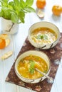 Mandarin soup Royalty Free Stock Photo