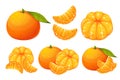 Mandarin, tangerine, clementine.A collection of ripe, juicy exotic fruits.Tangerine in slices, whole fruits.