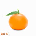 Mandarin. Tangerine. Sweet, ripe, fresh fruit. Isolated on white background. Eps10 vector illustration Royalty Free Stock Photo