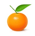 Mandarin. Tangerine. Sweet, ripe, fresh fruit