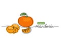 Mandarin, tangerine vector illustration. One line art drawing with lettering organic mandarin