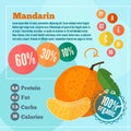 Mandarin vitamins infographics in a flat style