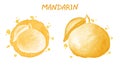 Mandarin. Watercolor illustration