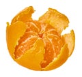 Mandarin white isolated background Royalty Free Stock Photo