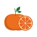 Mandarine fruit flat style icon vector design