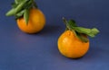 Mandarine fruite with leaves on blue background