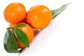 Mandarine fruits