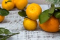 Mandarine fruits and christmas tree branches over rustic wooden background