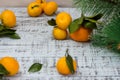 Mandarine fruits and christmas tree branches over rustic wooden background