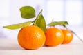 Mandarine with a leaf with blue window Royalty Free Stock Photo