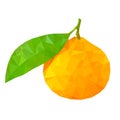 Mandarine with leaf. Polygonal illustration