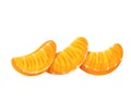 Mandarine or tangerine slices