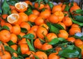 Organic mandarines at the fruit market Royalty Free Stock Photo