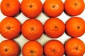 Mandarines background Royalty Free Stock Photo