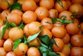 Mandarines background Royalty Free Stock Photo