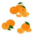 Mandarines, tangerine, clementine with leaves isolated on white background. Citrus fruit. Raster Illustration set