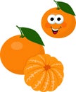 Mandarin, tangerine, clementine with leaves isolated on white background. Funny cartoon character. Raster Illustration