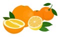 Mandarines, tangerine, clementine, orange, lemon with leaves isolated on white background. Citrus fruit. Raster