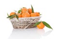 Mandarines in white wooden basket.