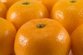 Mandarins