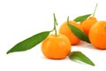 Mandarins Royalty Free Stock Photo