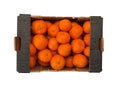 Mandarins Royalty Free Stock Photo