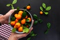 Mandarins or clementines with leaves on a black background. Tangerines in a plate Top view. Royalty Free Stock Photo